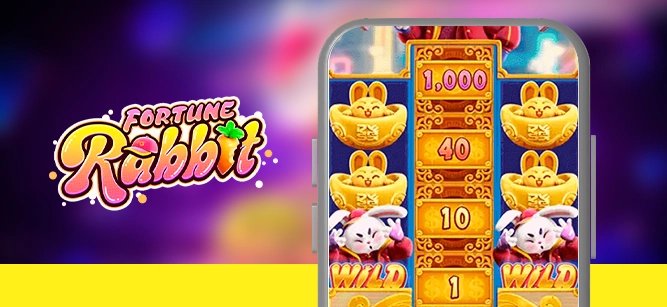 Exciting live casino table games at ceobet